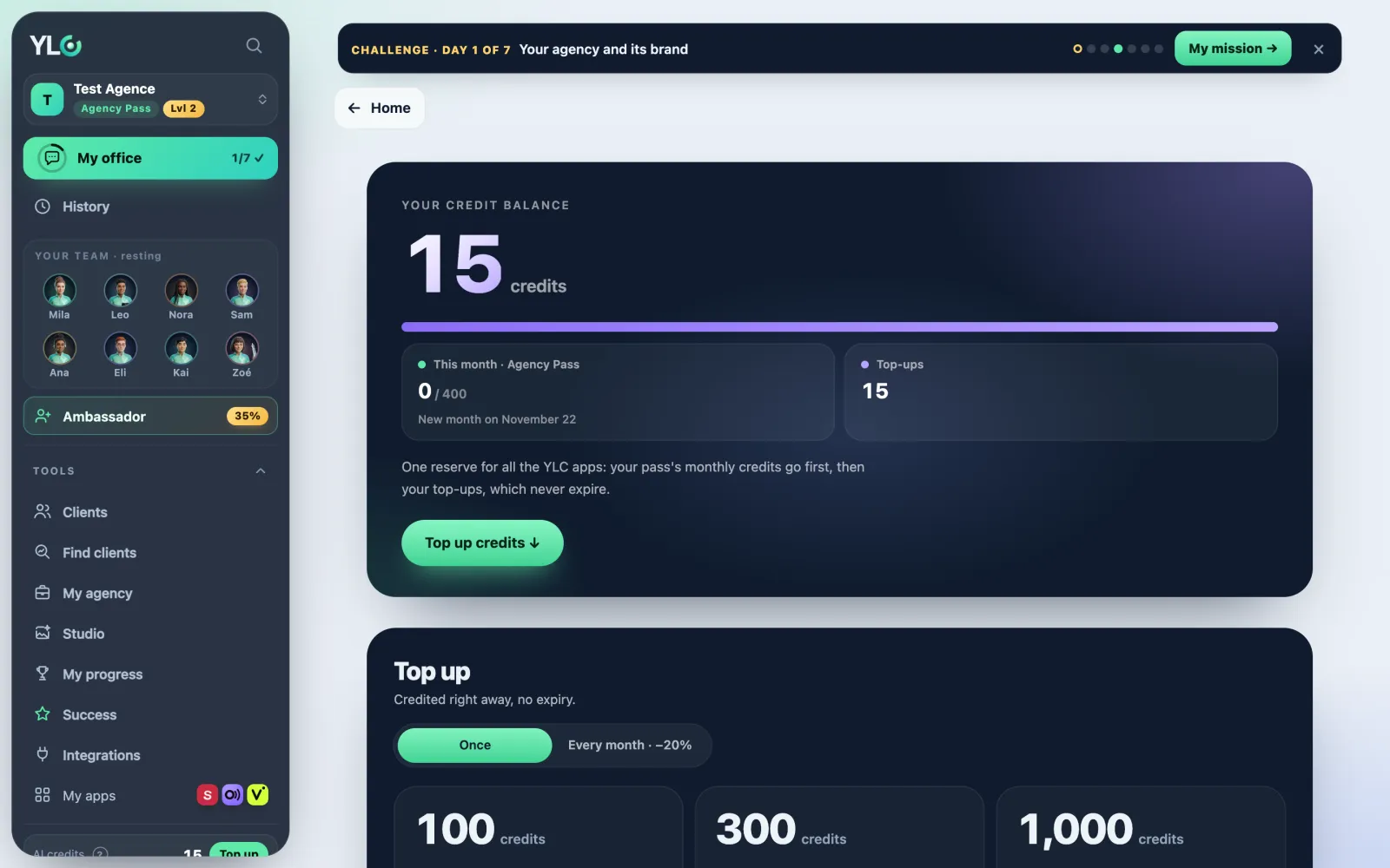 Your credit balance