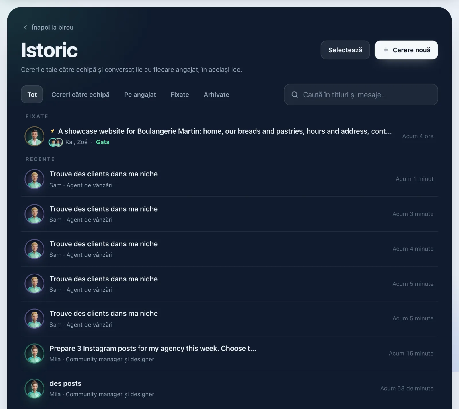 Pagina Istoric